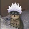 its_ziqqs