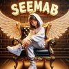 seemab2231