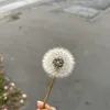 thbh1080