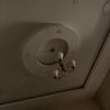abdullah_saud90