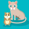 hamsterskitty
