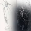 nknk9020__