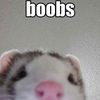 coochiecatcher69
