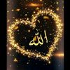 hamdiarfa391