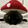 _ohokok