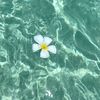 revoo_20