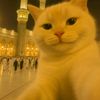 fadill.f