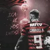 raianribeiro262