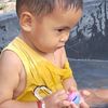 pichlovesal