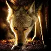 jesssiempre_aslak