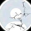 username_syami