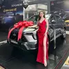 annhienmitsubishi