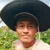 yustriawan