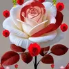user3511082490978