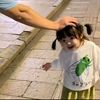 amir_6997