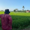 syukursuppri_