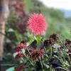 marikit__001