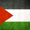 kareemkhaled1265