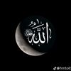 dysob8mzwsts