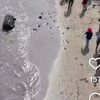 ndari_31