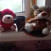 udthtymka
