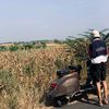 biasadansewajarnya