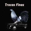 trocasfinas_