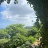 wailsoumo