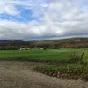 brambog85