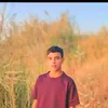abd_ll12
