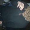 mason_694200