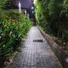 brvo_lf