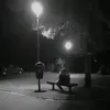 n_s1301