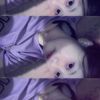 fitriyanifitry4