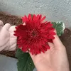 hth_giang98