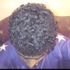 fans_el_mashher1
