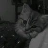 hathanhhaiyen74