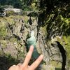 naraphat10