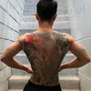 tct_1504