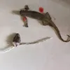 vgfghgfguhyyfvhgfc