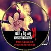 amiramohamedasal