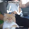 fvckoofyoub1tch