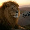 bylk.md13