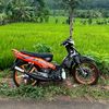 xyroooo.01