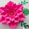 rosjiethapa768