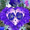 dy3qsm0vt68j