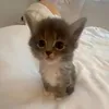 sqwimeee