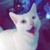 capricornfox93