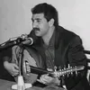 عبادي العماري