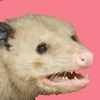logiebear42069